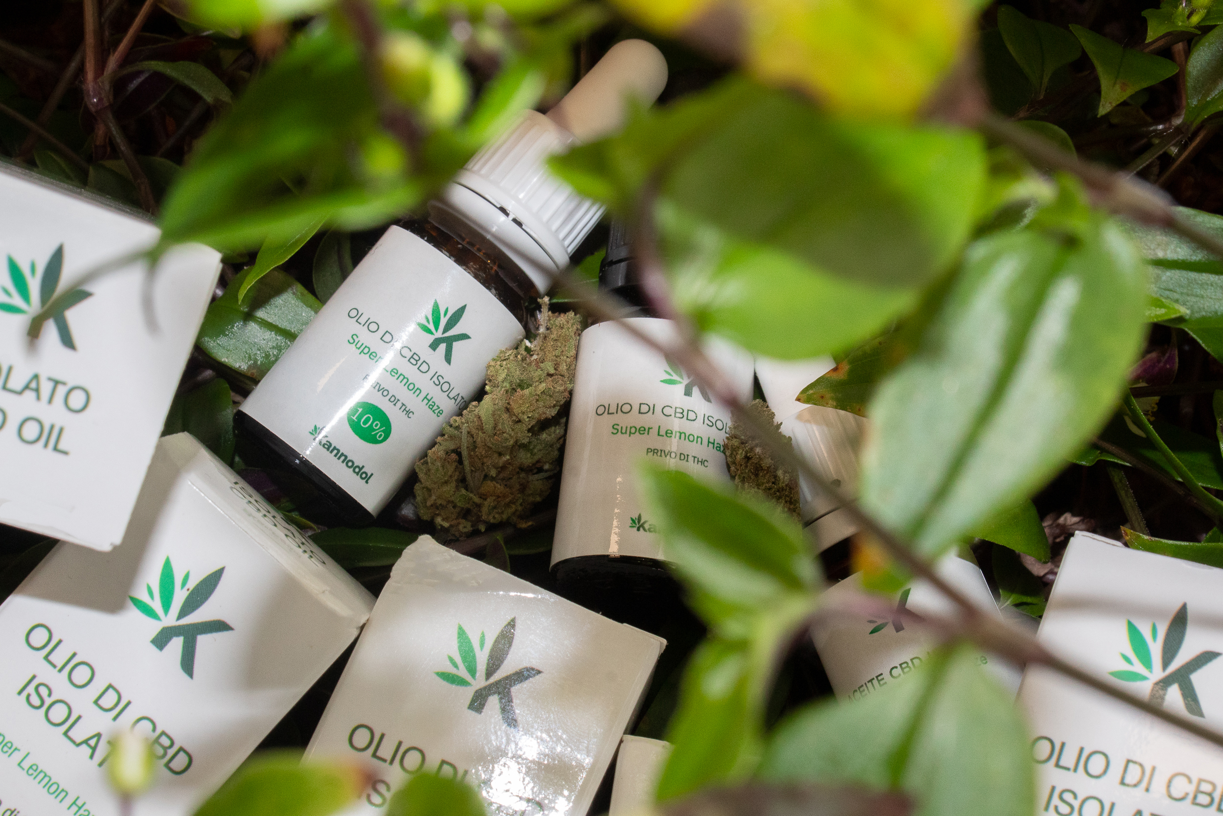 productos de cbd de mayoristas kannodol